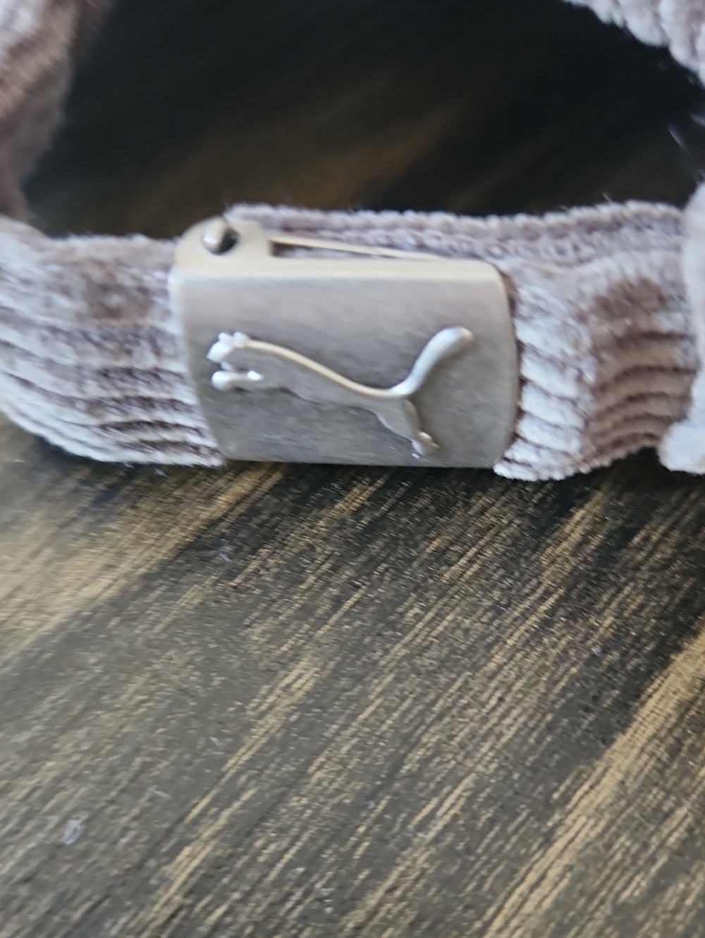Puma - Picture 3 of 12
